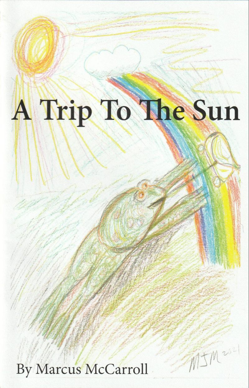 Cover of A Trip To The Sun